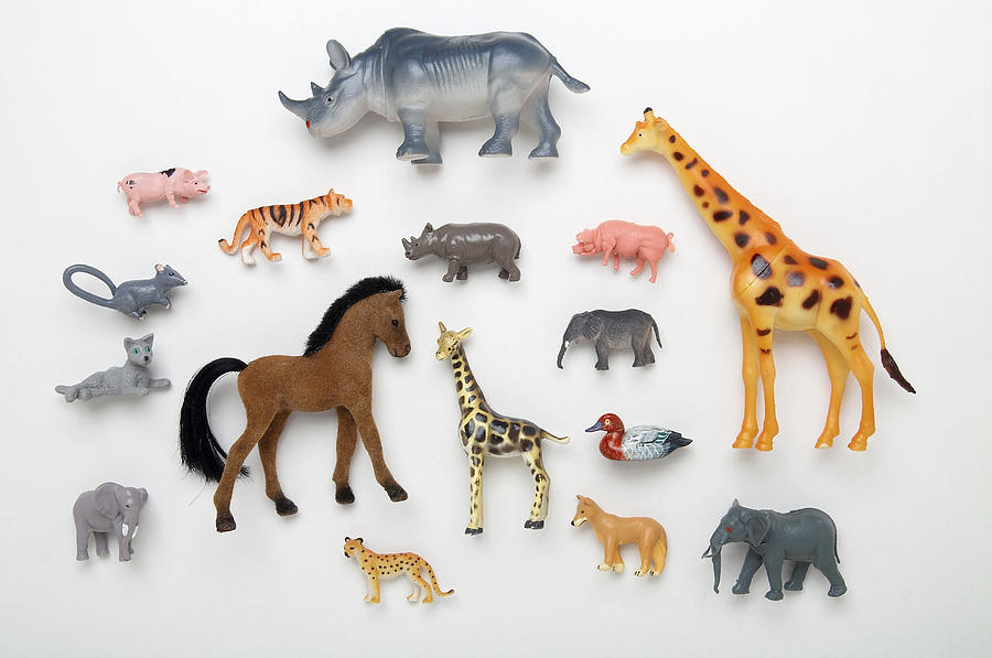 Rhinoceros, giraffe, horse, duck, elephant, pig, tiger and leopard toys Photograph by Andy Crawford
