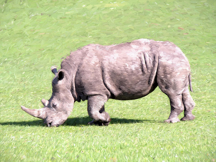 Rhinoceros Painting Digital Art by Roy Pedersen