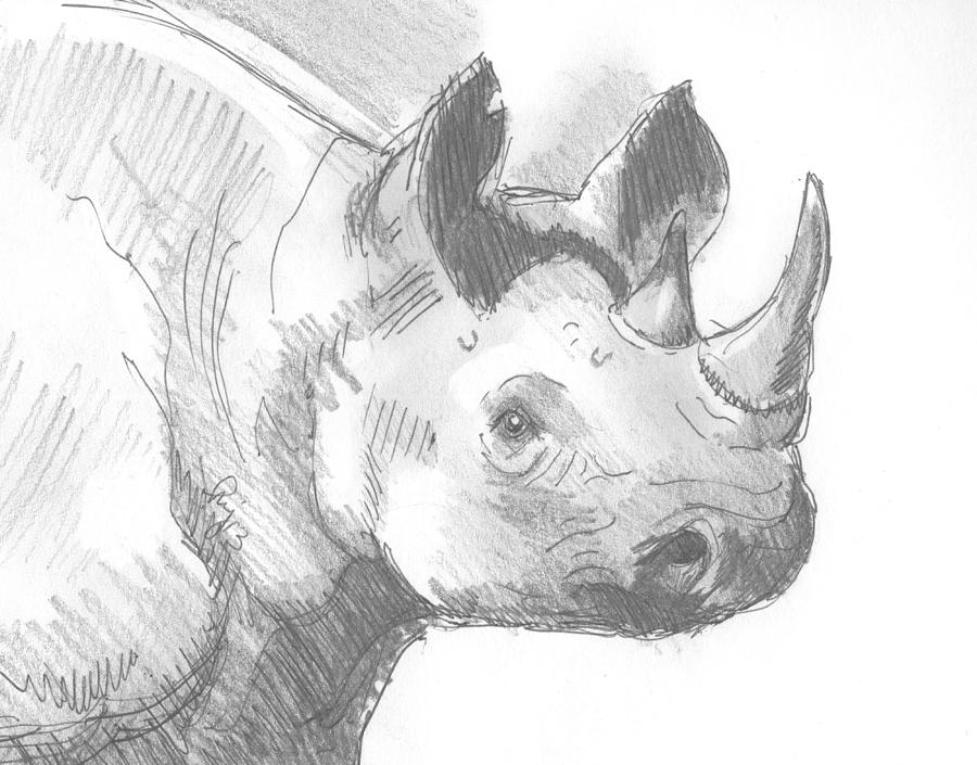 Rhinoceros sketch Drawing by Mike Jory