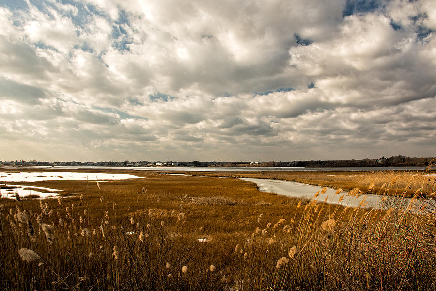 Rhode Island Photograph - Rhode Island Marshes 1 by Nancy De Flon