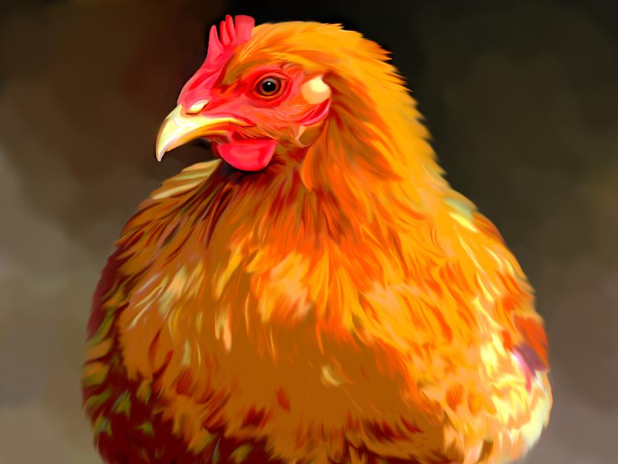 Chicken Digital Art - Rhode Island Red  by Karen Sheltrown