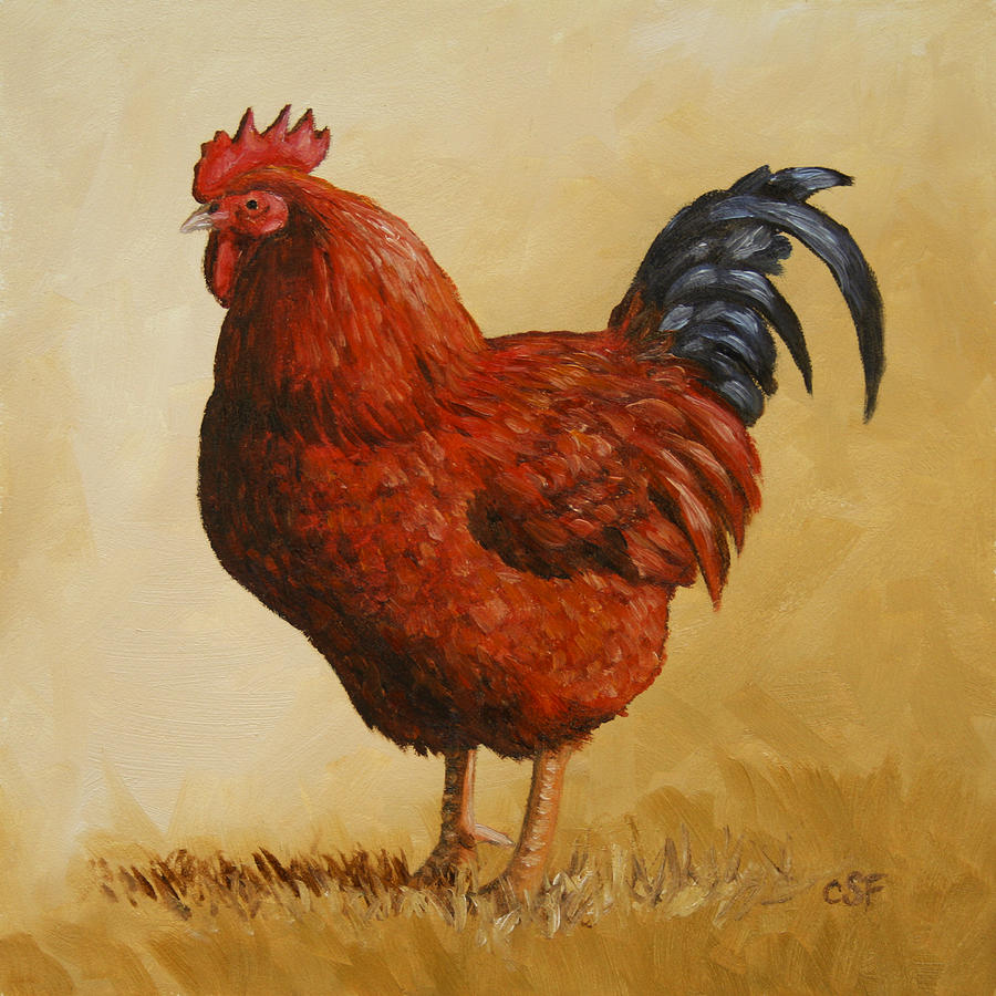 Rhode Island Red Rooster Painting by Crista Forest