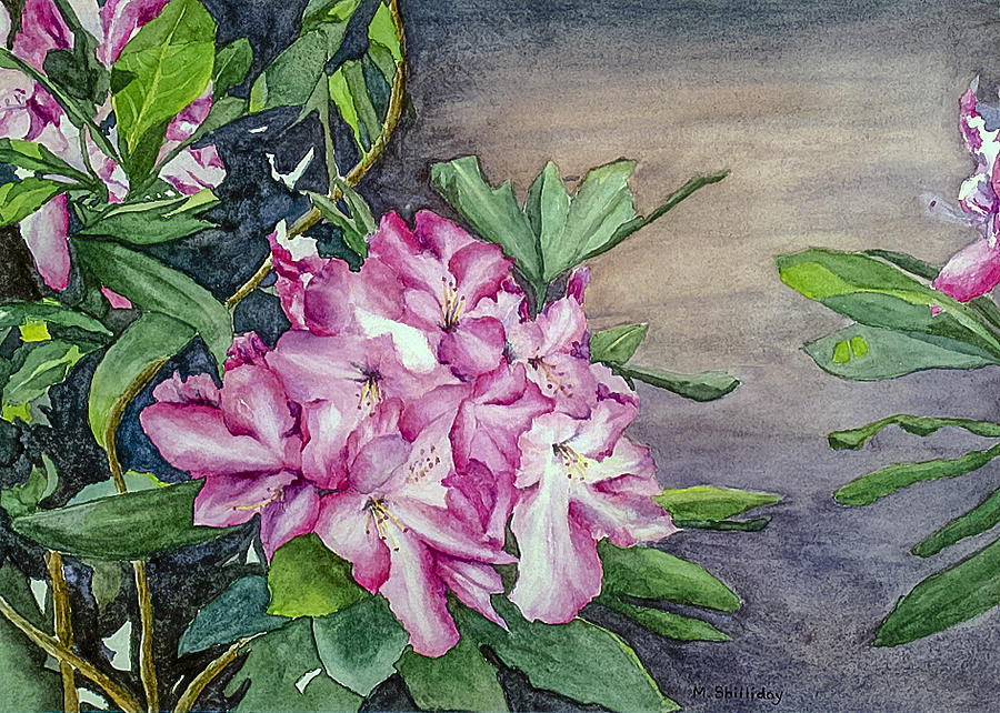 Flowers Still Life Painting - Rhodedendron by Martha Shilliday