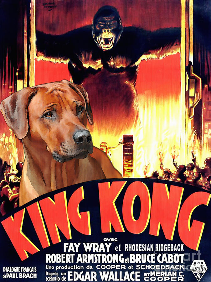 Rhodesian Ridgeback Art Canvas Print - King Kong Movie Poster Painting by Sandra Sij