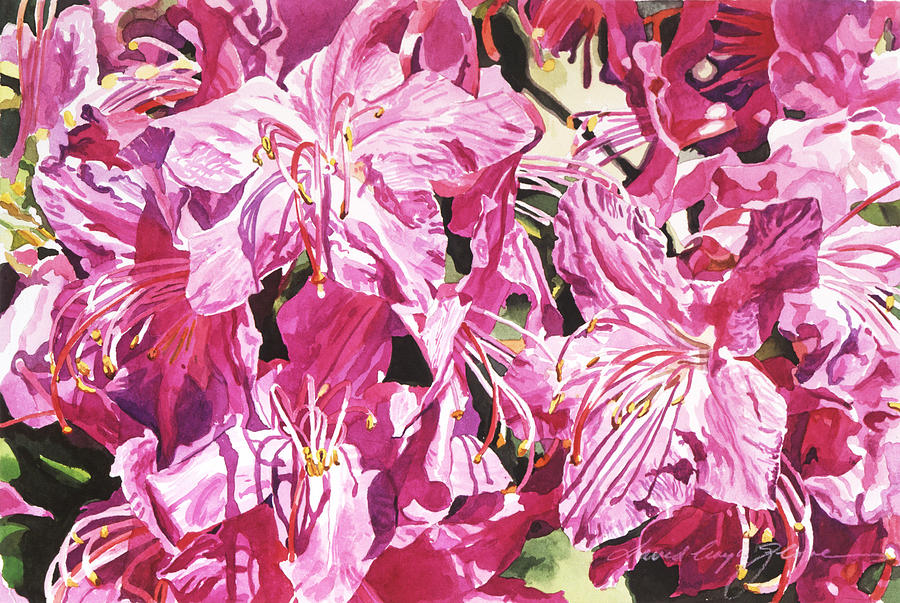 Rhodo Blossoms Painting by David Lloyd Glover