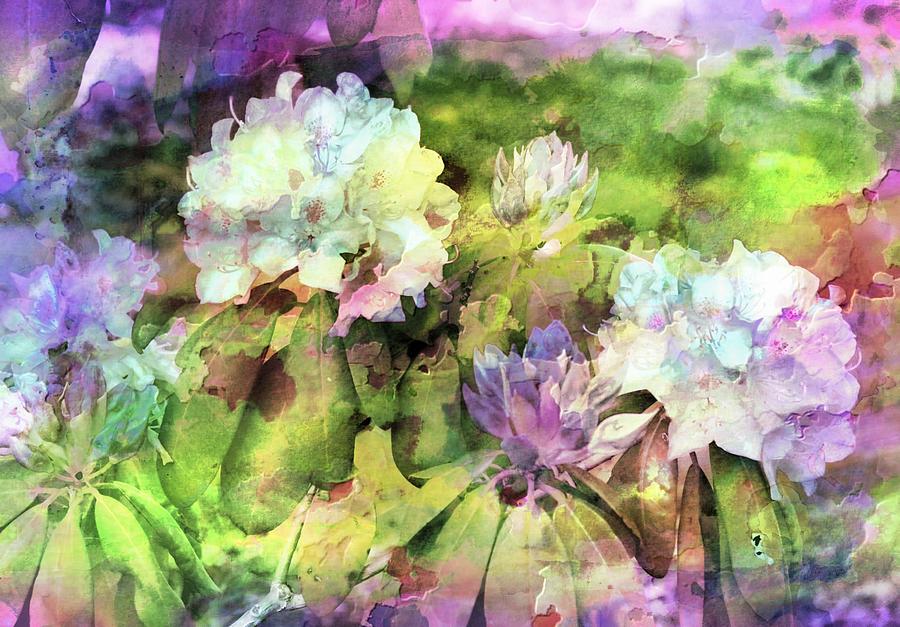 Rhododendrom Photograph By Joyce Baldassarre Fine Art America 4292