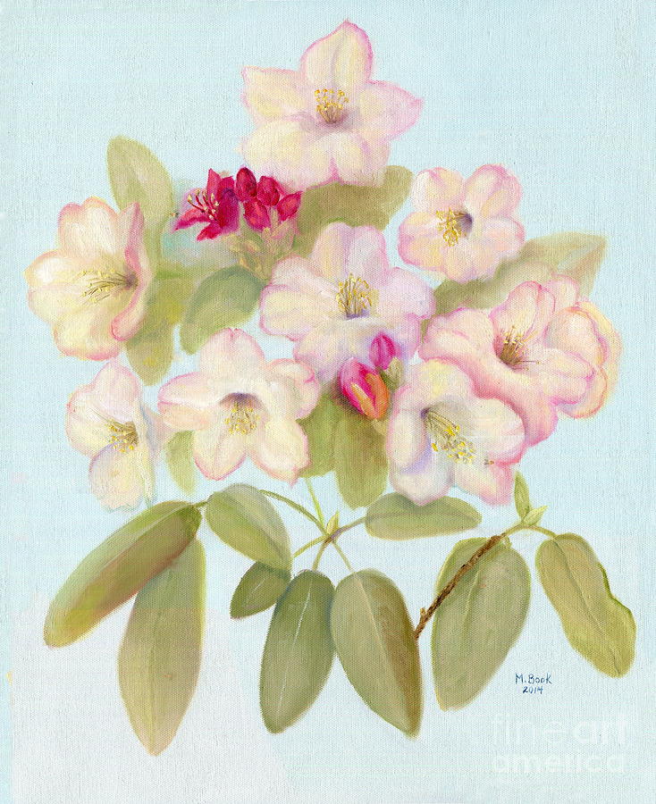 Diannes Rhododendron Painting by Marlene Book