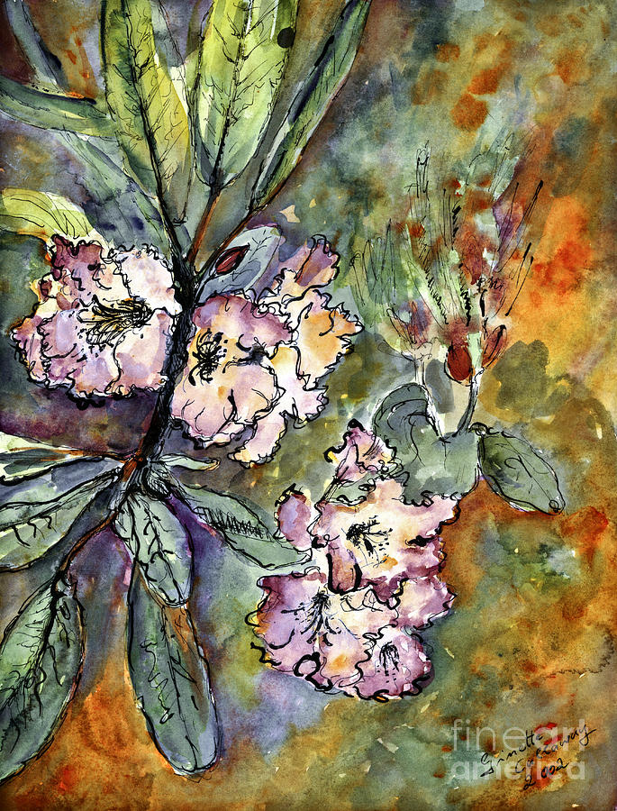 Rhododendron Watercolor and Ink Painting by Ginette Callaway
