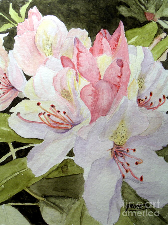 Rhododendrons in Spring Painting by Carol Grimes