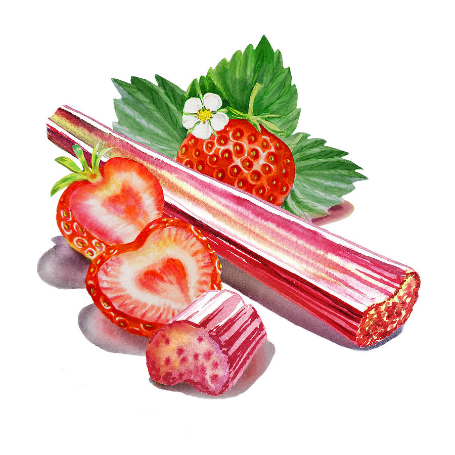 Rhubarb Strawberry Painting by Irina Sztukowski