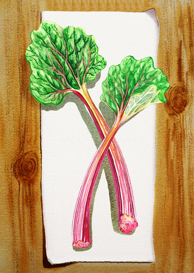 Rhubarb Tasty Botanical Study Painting by Irina Sztukowski