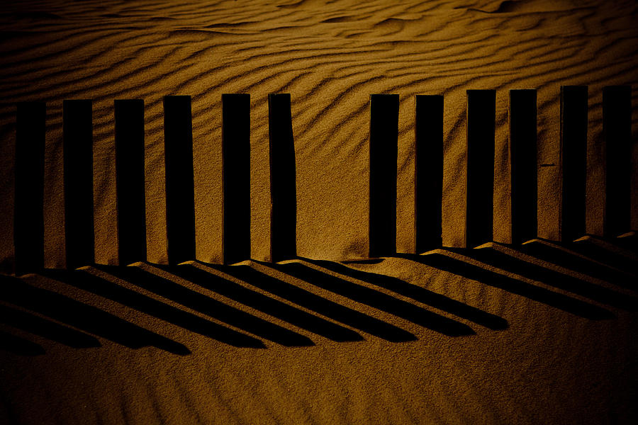 Rhythm of desert Photograph by Raimond Klavins