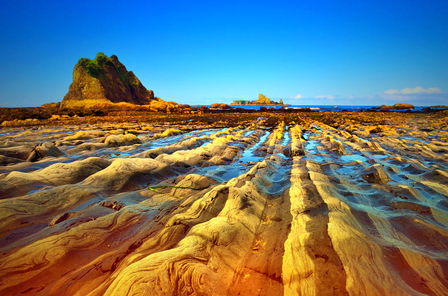 rialto-beach-at-low-tide-photograph-by-tara-turner