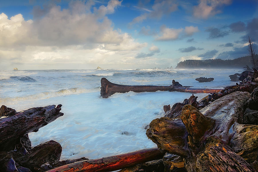 Fork Photograph - Rialto Beach Storm by Ray Still