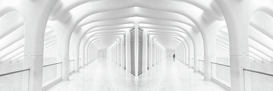 Architecture Photograph - Rib Cage by Tomer Eliash