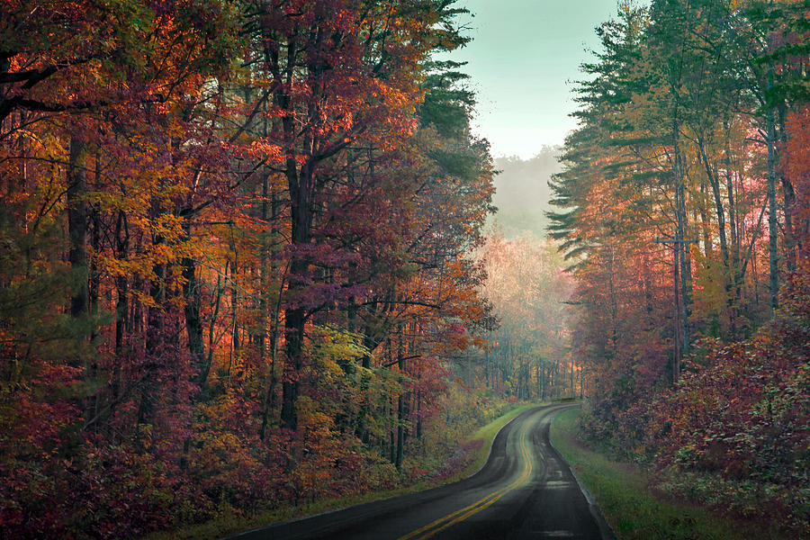 Ribbon road Photograph by William Schmid - Fine Art America