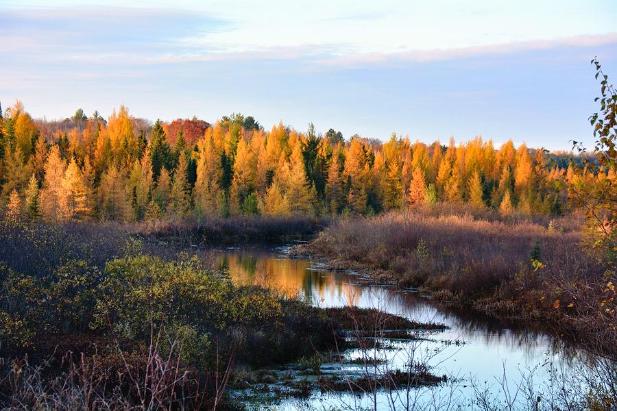 Rice Creek in Fall Photograph by Katie Simonsen - Fine Art America