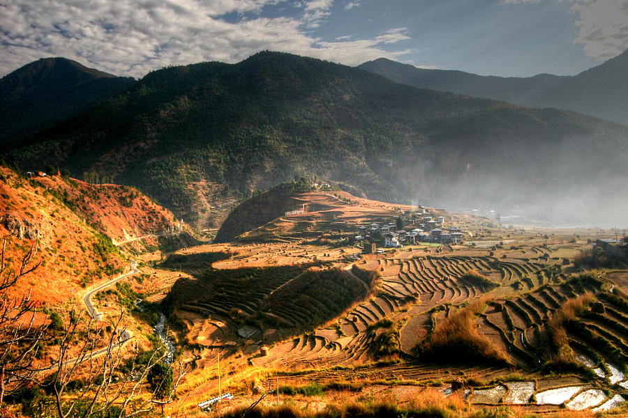 Rice Fields Of Bhutan Photograph by Photo ©tan Yilmaz