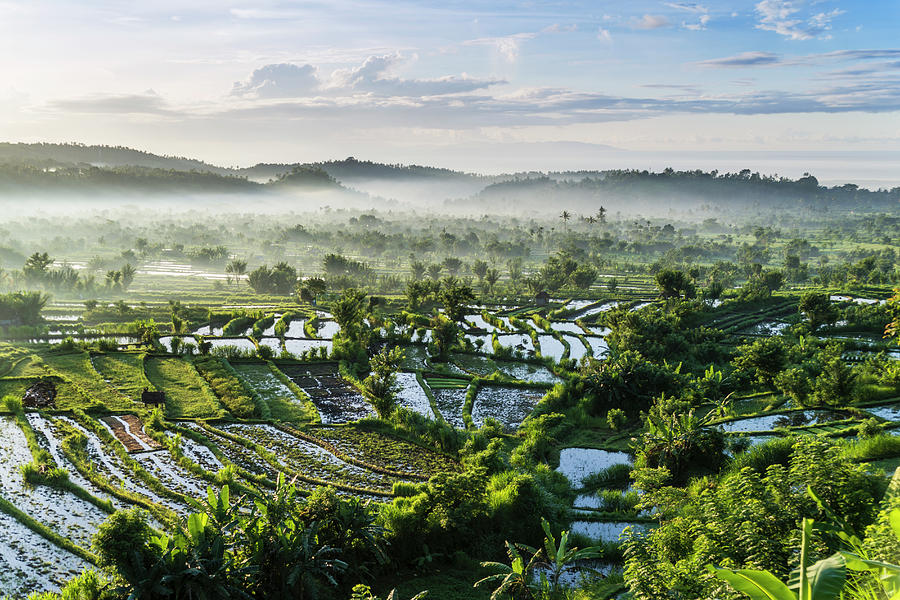 Rice Fields, Tirta Gangga, Bali Photograph by John Harper