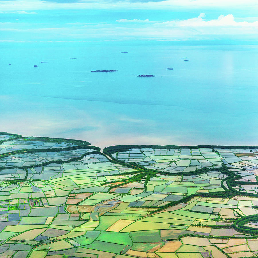 Rice Growing Areas In Coastal Plain Photograph by Graphixel