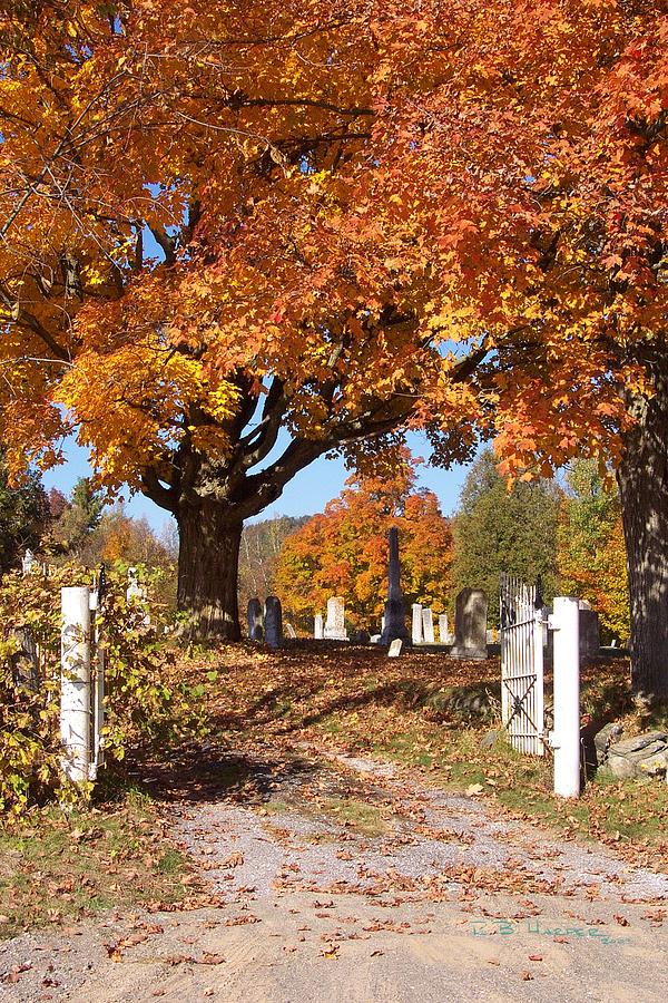 Rice Hill Cemetery Photograph by R B Harper