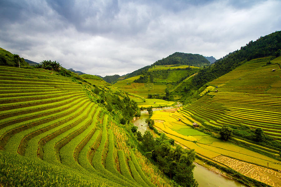 Rice Terraces Photograph by Giang Hai Hoang | Fine Art America