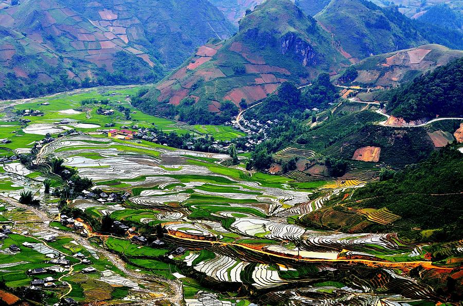 Rice Terraces Photograph by Hello, Im From Vietnam. Wish You A Good Day! Many Thanks!