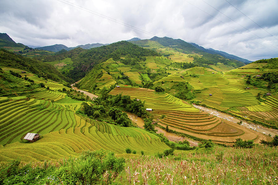 Rice Terraces Photograph by Hoang Giang Hai