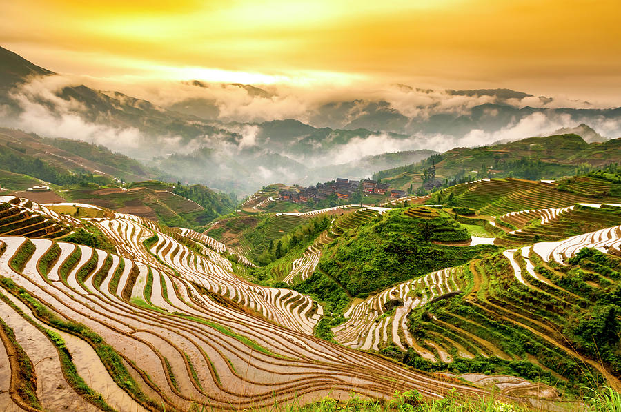 Rice Terraces Photograph by Luxizeng