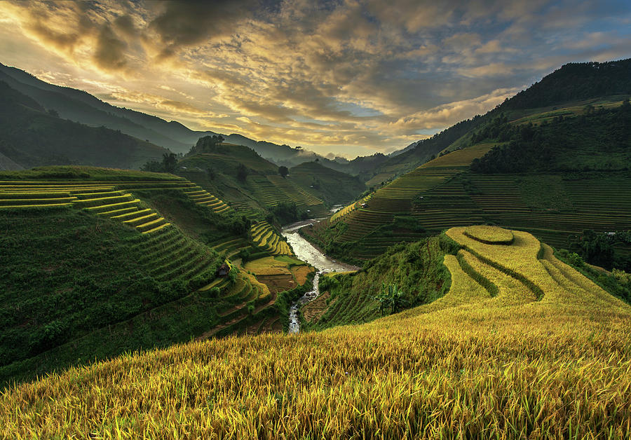 Farm Photograph - Riceterrace ( Vietnam) by Sarawut Intarob