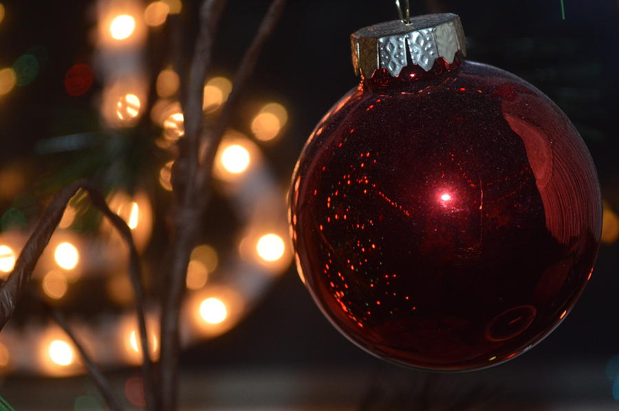 Rich Garnet Christmas Bulb Photograph by Michelle Hoffmann