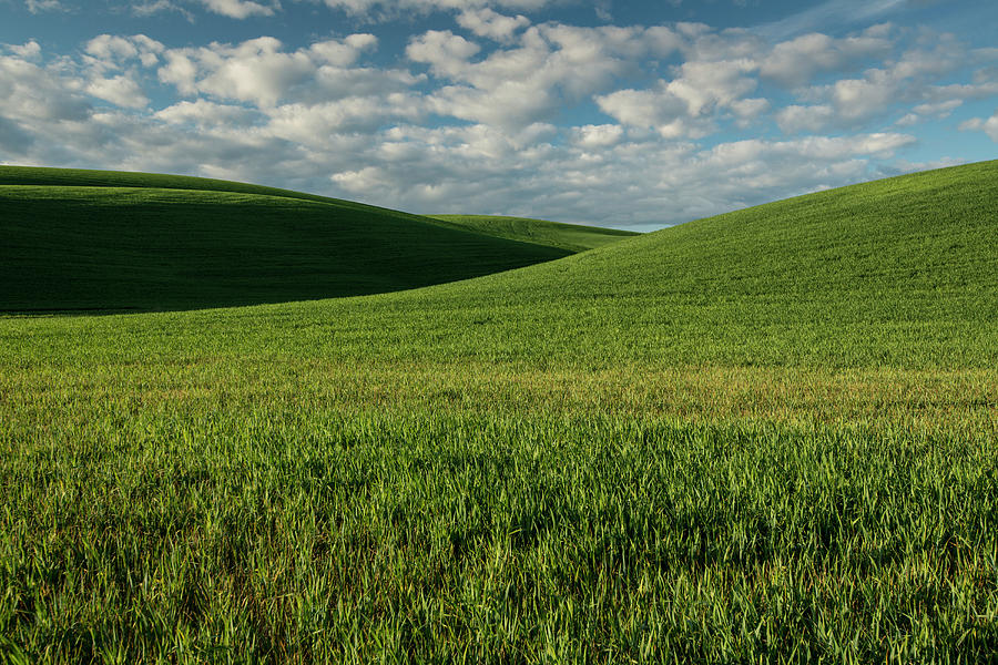 Rich Soil, Called Palouse Loess, Covers Photograph by Michael Melford