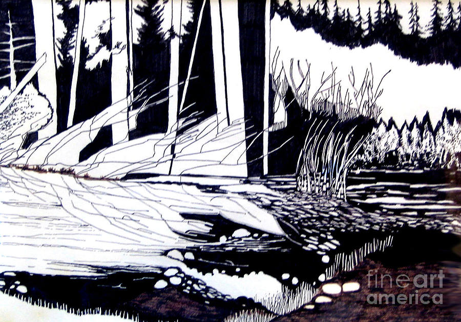 Richardson Grove Drawing by Joy Calonico - Pixels