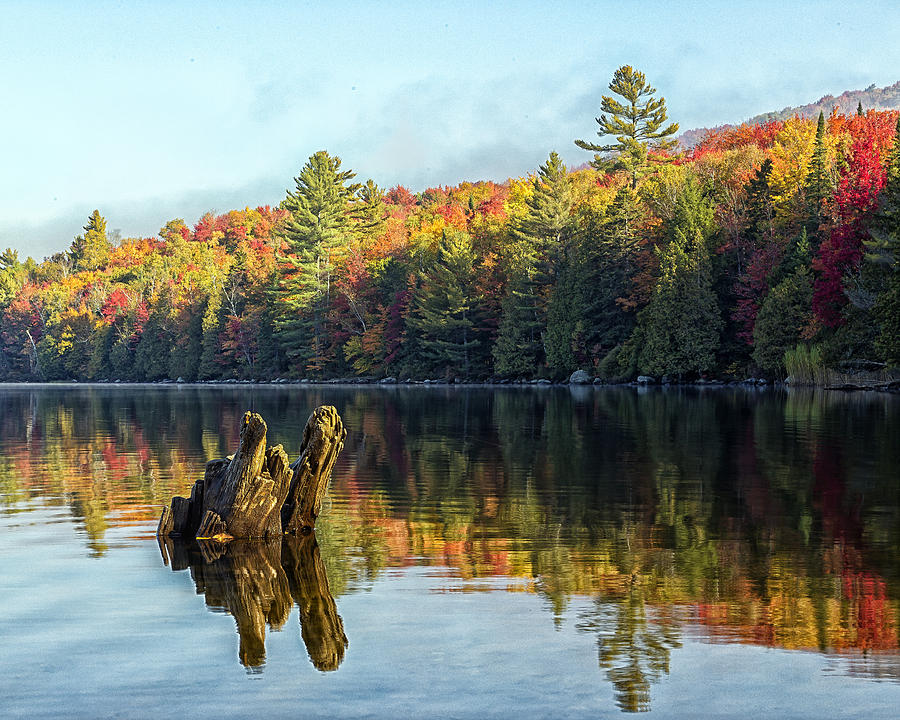 Ricker Pond Fall Reflections Photograph by John Vose