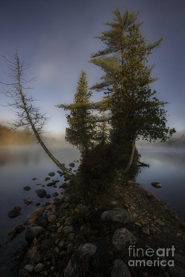 Rickers Pond - Groton State Forest Vermont Photograph by TS Photo