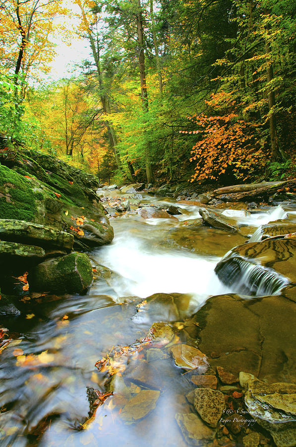 Rickets Glen stream in fall Photograph by Steve and Sharon Smith