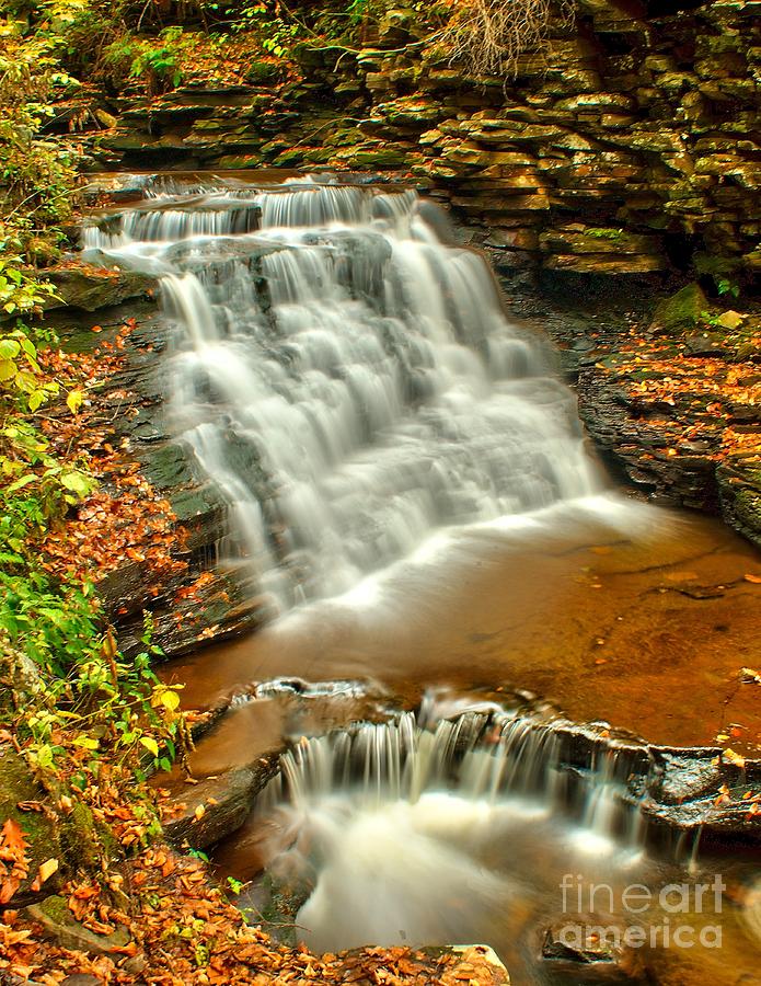 Ricketts Glen - Delaware Falls Photograph by Nick Zelinsky Jr