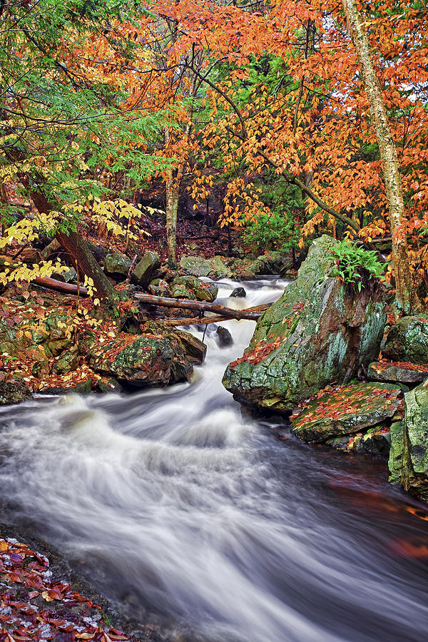 Fall Photograph - Ricketts Glen Falls by Marcia Colelli