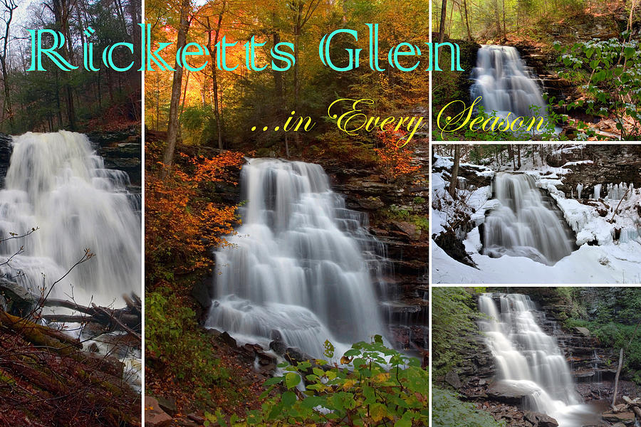 Ricketts Glen in Every Season Photograph by Gene Walls