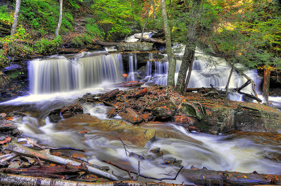 Ricketts Glen In Hdr Photograph by Dan Myers