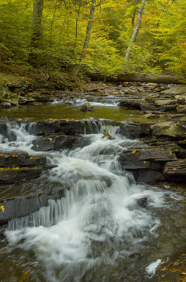 Ricketts Glen Rapids Photograph by Art Spearing - Fine Art America