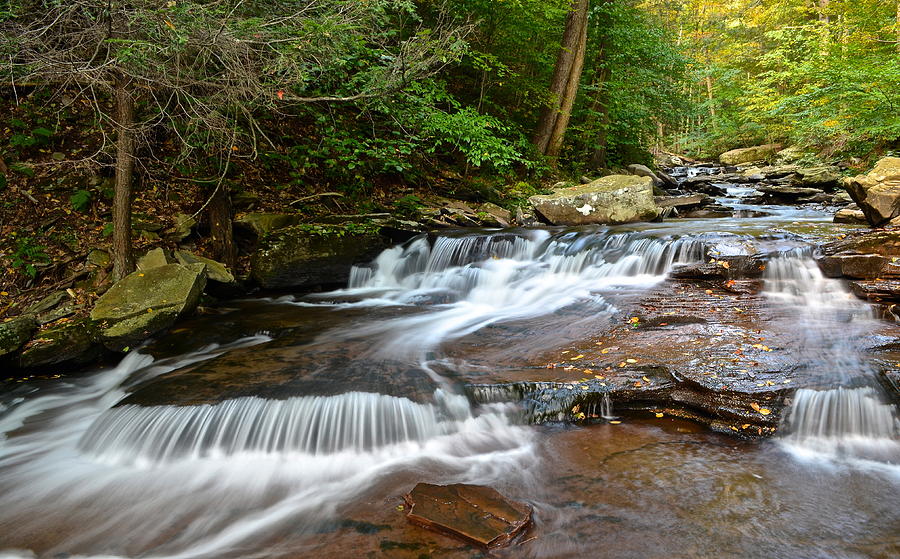 Ricketts Glen Photograph by Frozen in Time Fine Art Photography