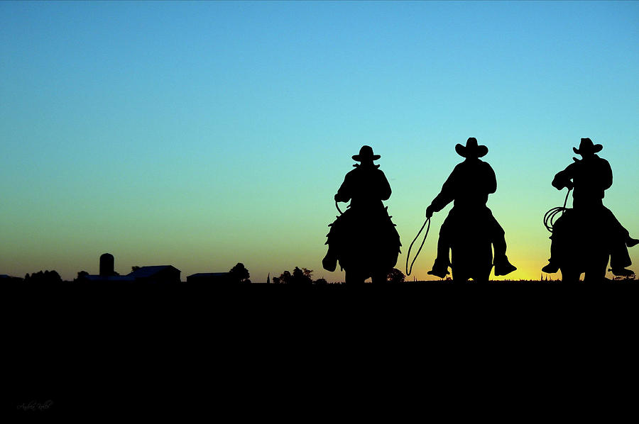 Cowboy Photograph - Ride Em Cowboy by Andrea Kollo