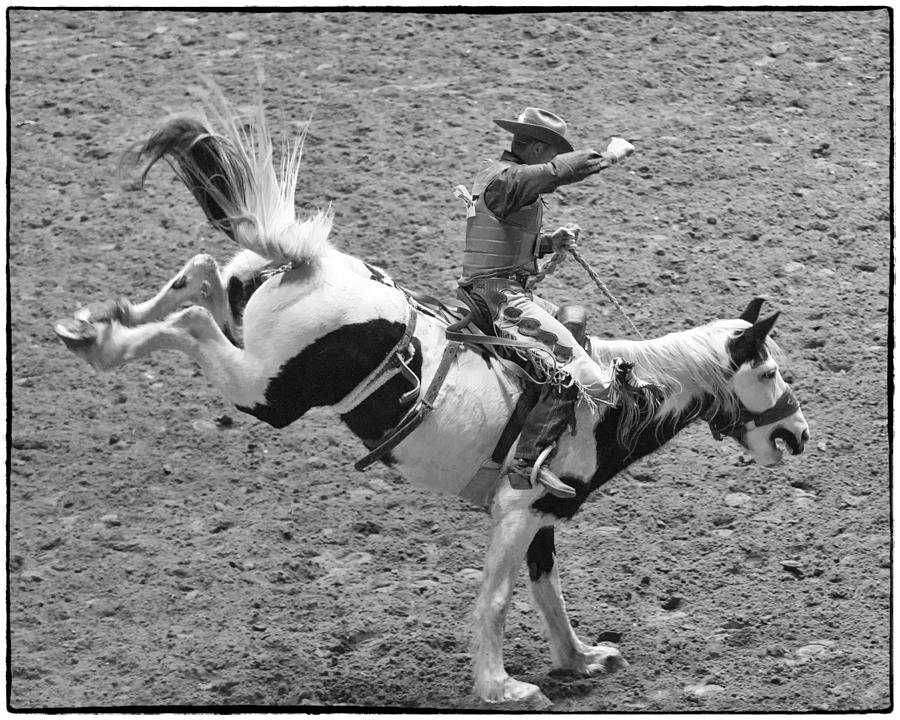 Ride Em Cowboy Photograph by Stephen Stookey