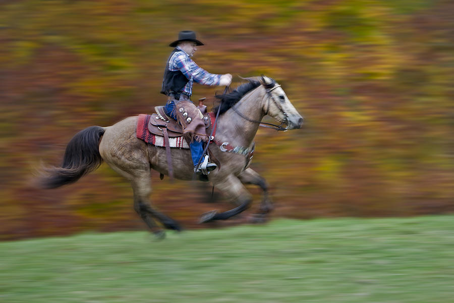 Ride Em Cowboy Photograph by Susan Candelario