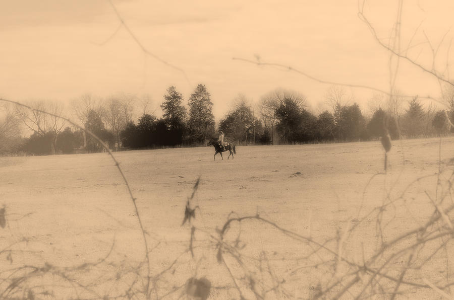 Horse Photograph - Ride by Scott Carr