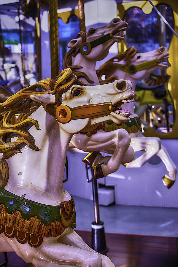 Fantasy Photograph - Ride The Wild Carrousel Horses by Garry Gay