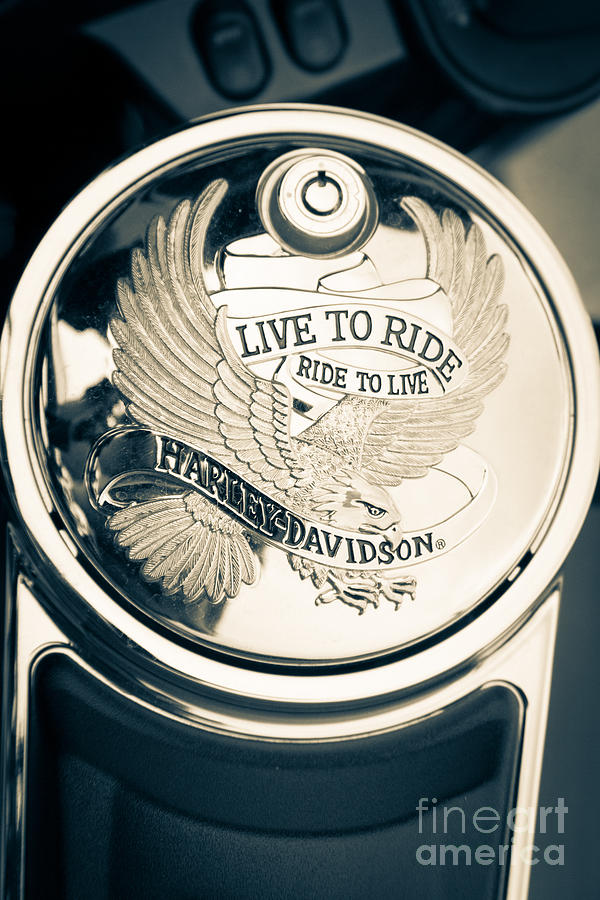 Ride To Live Photograph
