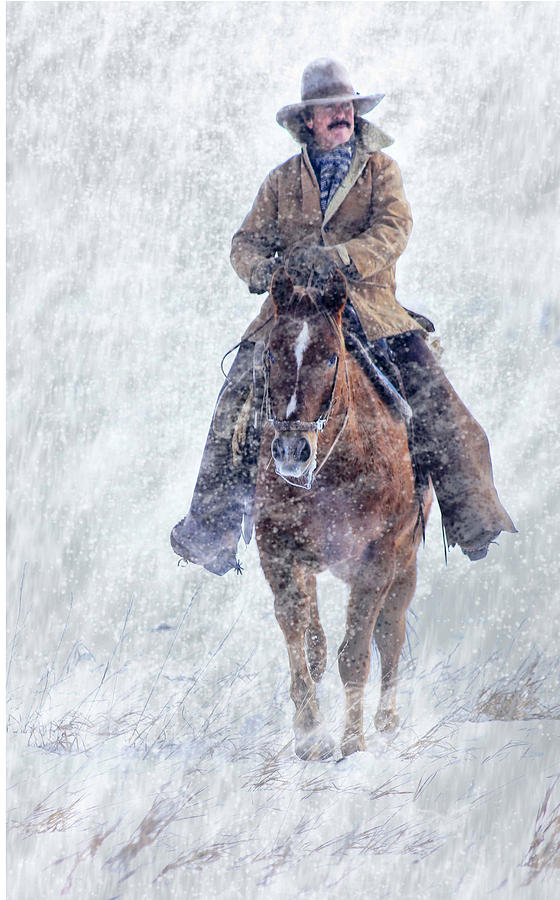 Rider in Snow Photograph by Sally Brown - Fine Art America