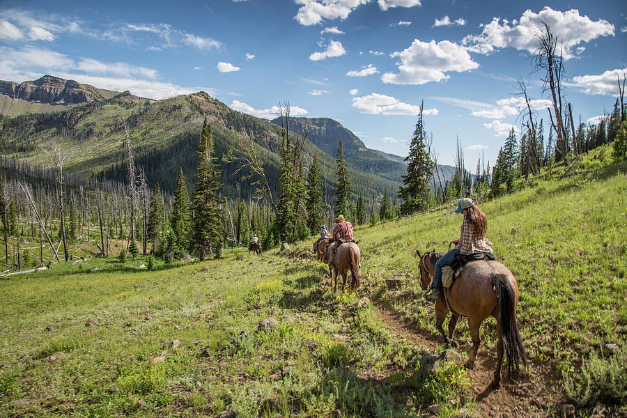 Riders On Horses On Trail In Montana Photograph by Jess McGlothlin ...